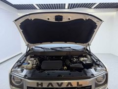 Great Wall Haval Big Dog Dachshund 1.5T DCT Border Collie Edition - ფოტო 15