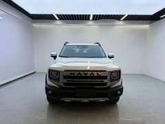 Great Wall Haval Big Dog Dachshund 1.5T DCT Border Collie Edition - ფოტო 2