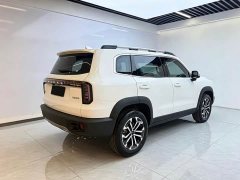 Great Wall Haval Big Dog Dachshund 1.5T DCT Border Collie Edition - ფოტო 4