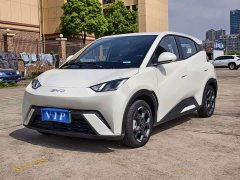 BYD Seagull 2025 305km Freedom Edition - ფოტო 1