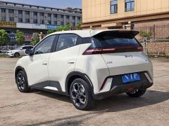 BYD Seagull 2025 305km Freedom Edition - ფოტო 10