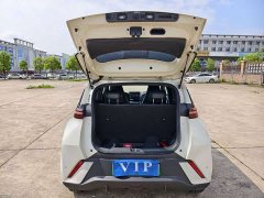 BYD Seagull 2025 305km Freedom Edition - ფოტო 17