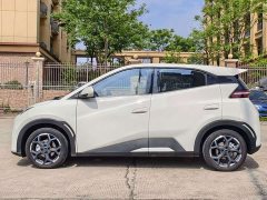 BYD Seagull 2025 305km Freedom Edition - ფოტო 7
