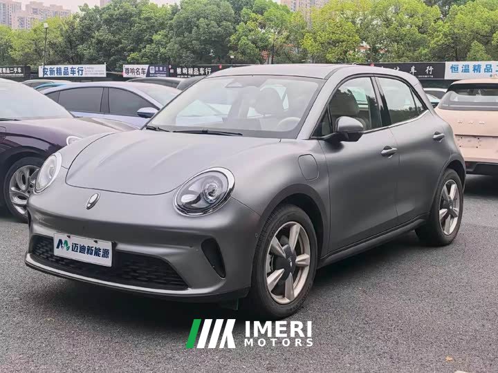 ORA Good Cat 430km Deluxe Edition - ავტომობილი ჩინეთიდან