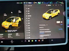 Tesla Model Y Rear-Wheel Drive - ფოტო 12