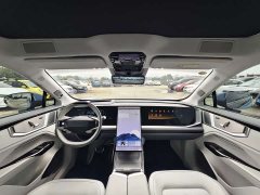 HiPhi Y 560km Elite Edition - ფოტო 15