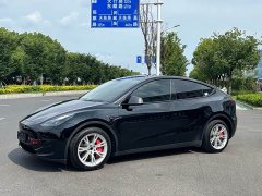 Tesla Model Y Rear-Wheel Drive - ფოტო 1