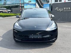 Tesla Model Y Rear-Wheel Drive - ფოტო 2