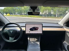 Tesla Model Y Rear-Wheel Drive - ფოტო 6