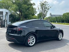 Tesla Model Y Rear-Wheel Drive - ფოტო 8