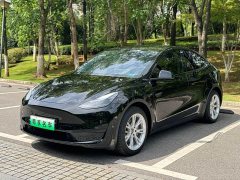 Tesla Model Y 2022 Facelift Rear-Wheel Drive - ფოტო 1