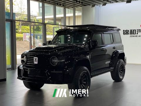 2021 Tank 300 Off-Road Edition 2.0T Conqueror - ავტომობილი ჩინეთიდან