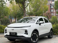 Geely Geometry E Firefly 301km Aurora - ფოტო 1