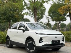 Geely Geometry E Firefly 301km Aurora - ფოტო 3