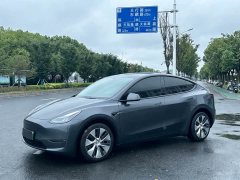 Tesla Model Y Long Range All-Wheel Drive - ფოტო 1