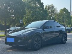 Tesla Model Y Rear-Wheel Drive - ფოტო 1