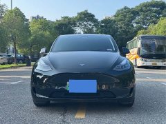 Tesla Model Y Rear-Wheel Drive - ფოტო 2
