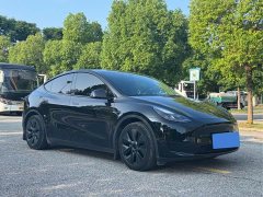Tesla Model Y Rear-Wheel Drive - ფოტო 3