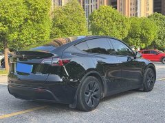 Tesla Model Y Rear-Wheel Drive - ფოტო 5