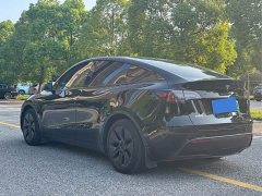 Tesla Model Y Rear-Wheel Drive - ფოტო 7