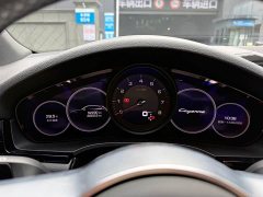 Porsche 2019 Cayenne 3.0T - ფოტო 17