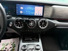 Tank 300 Off-Road Edition 2.0T Conqueror - ფოტო 14