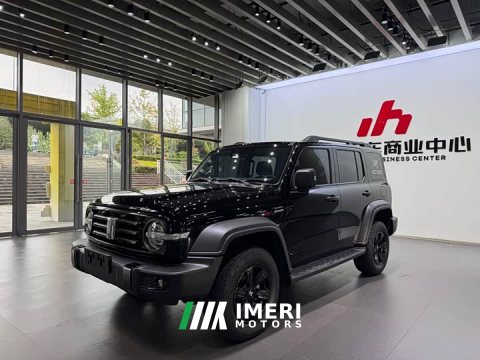 2023 Tank 300 Off-Road Edition 2.0T Challenger - ავტომობილი ჩინეთიდან