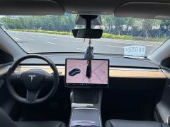 Tesla Model Y 2021 Standard Range RWD - ფოტო 6