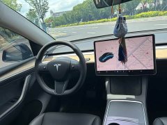 Tesla Model Y 2021 Standard Range RWD - ფოტო 7