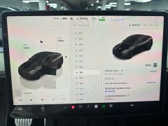 Tesla Model Y 2022 Performance All-Wheel Drive - ფოტო 10