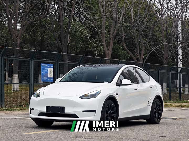 Tesla Model Y 2021 Standard Range RWD - ავტომობილი ჩინეთიდან