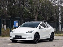 Tesla Model Y 2021 Standard Range RWD - ფოტო 1