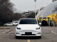 Tesla Model Y 2021 Standard Range RWD - ფოტო 2
