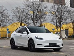 Tesla Model Y 2021 Standard Range RWD - ფოტო 3