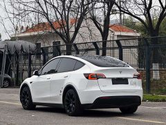 Tesla Model Y 2021 Standard Range RWD - ფოტო 9