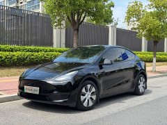 Tesla Model Y Rear-Wheel Drive - ფოტო 1