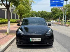 Tesla Model Y Rear-Wheel Drive - ფოტო 2