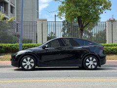 Tesla Model Y Rear-Wheel Drive - ფოტო 3