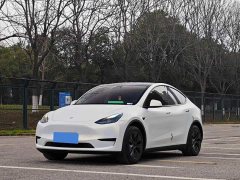 Tesla Model Y Rear-Wheel Drive - ფოტო 1