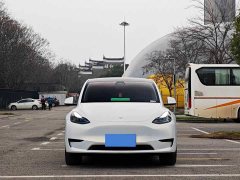 Tesla Model Y Rear-Wheel Drive - ფოტო 2