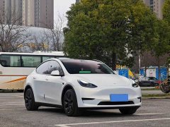 Tesla Model Y Rear-Wheel Drive - ფოტო 3