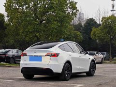 Tesla Model Y Rear-Wheel Drive - ფოტო 7