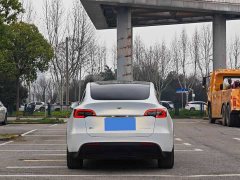 Tesla Model Y Rear-Wheel Drive - ფოტო 8