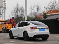 Tesla Model Y Rear-Wheel Drive - ფოტო 9