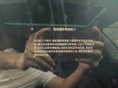 Tesla Model 3 2022 Rear-Wheel Drive - ფოტო 10