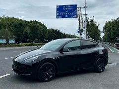 Tesla Model Y Rear-Wheel Drive - ფოტო 1