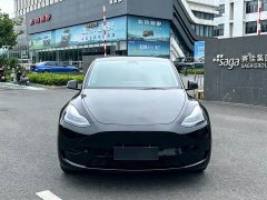 Tesla Model Y Rear-Wheel Drive - ფოტო 2