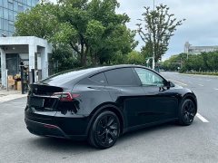 Tesla Model Y Rear-Wheel Drive - ფოტო 3