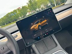 Tesla Model Y Rear-Wheel Drive - ფოტო 6
