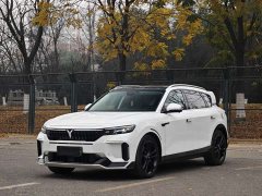 Voyah FREE 2024 Extended Range Intelligent Driving Edition - ფოტო 1